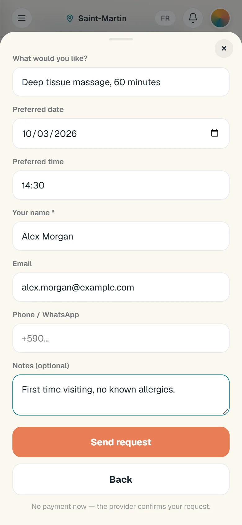 The appointment request filled with a fictional example and a Send request button, not pressed.